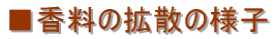 ̊gU̗lq